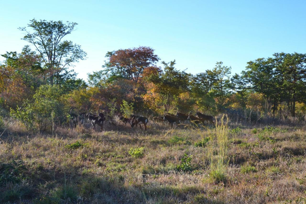 Chobe Sunset Chalets Lesoma Exterior photo